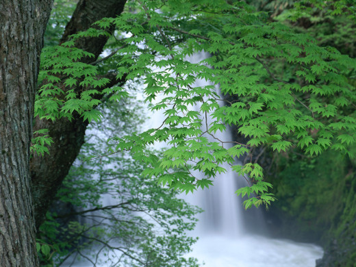 42572 (a): :1600x1200